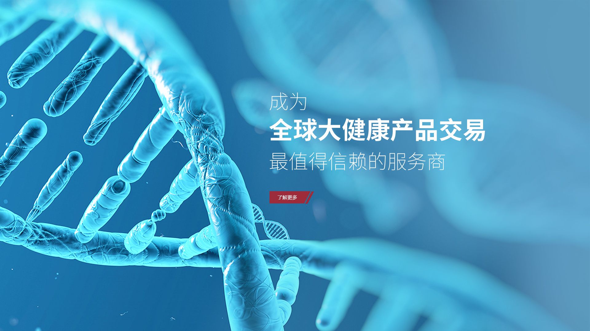创世红海科技